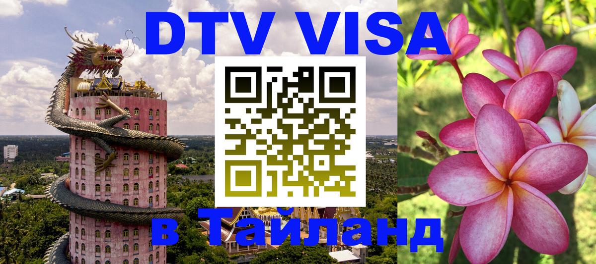 Сколько стоит DTV виза — актуальные цены, оформление даже без документов - Калининград  04.10.2025 